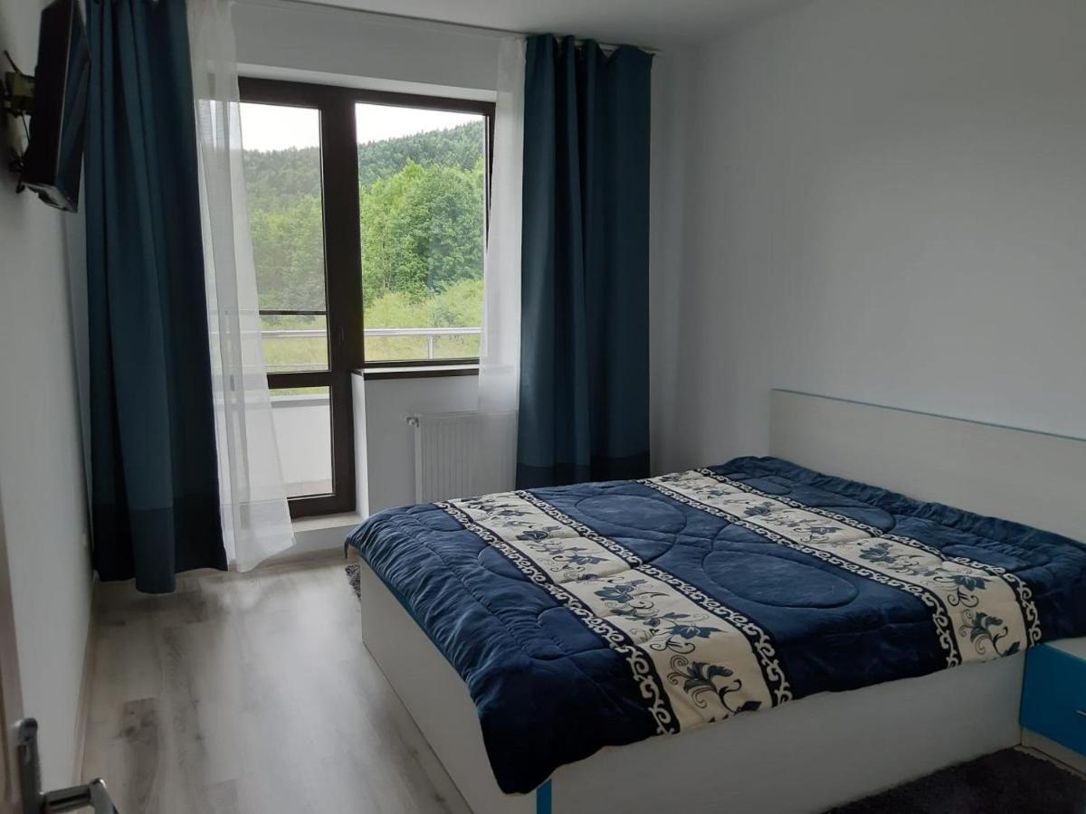 Dorin Colina Marei Appartement Sinaia Buitenkant foto