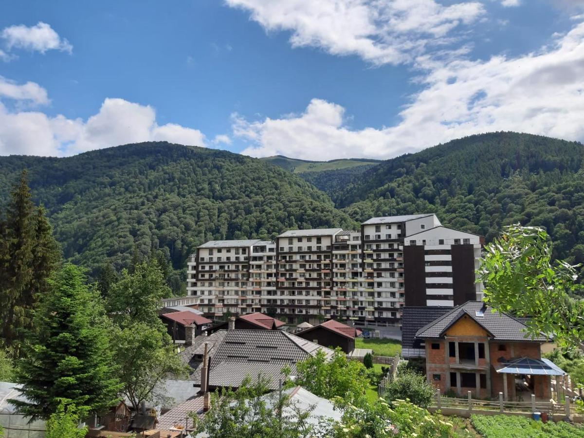 Dorin Colina Marei Appartement Sinaia Buitenkant foto